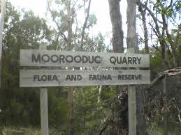 Rubbish Removal Moorooduc